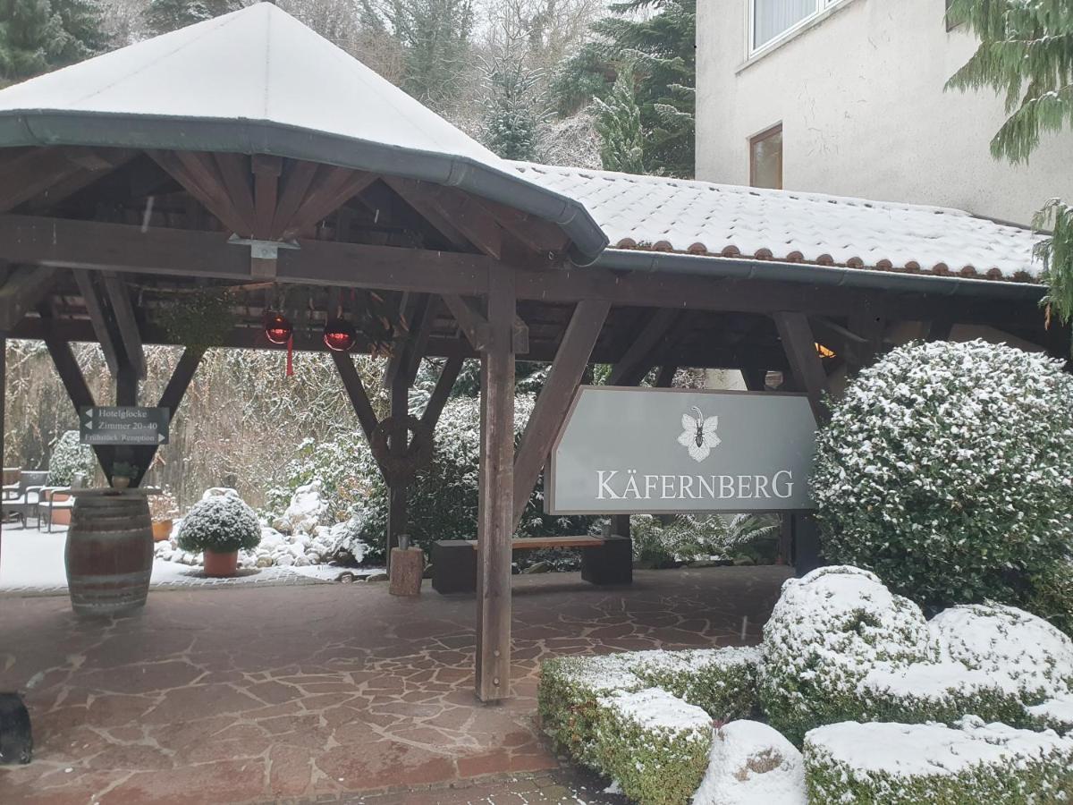 Kaefernberg - Weinhotel Alzenau in Unterfranken Exterior photo